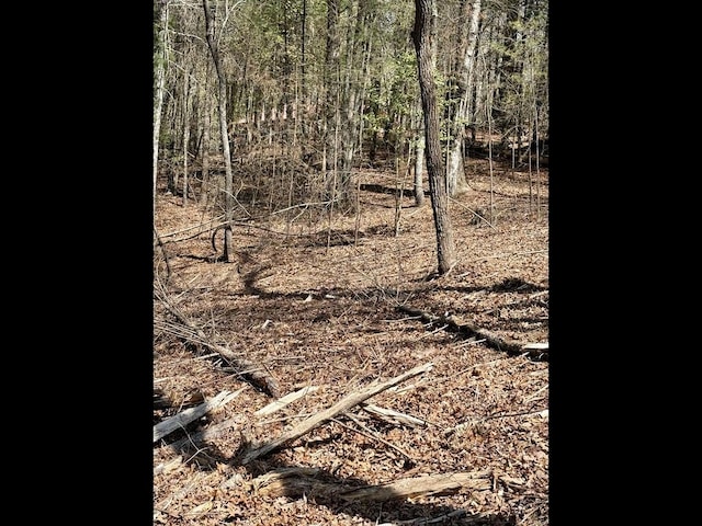 TR2 E New Hope Rd, Ellijay, GA 30536