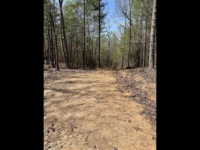 TR2 E New Hope Rd, Ellijay, GA 30536