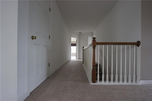 hallway featuring carpet floors