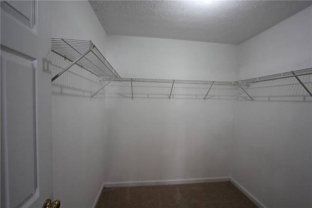 walk in closet featuring carpet flooring