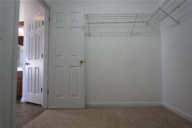 walk in closet with carpet flooring