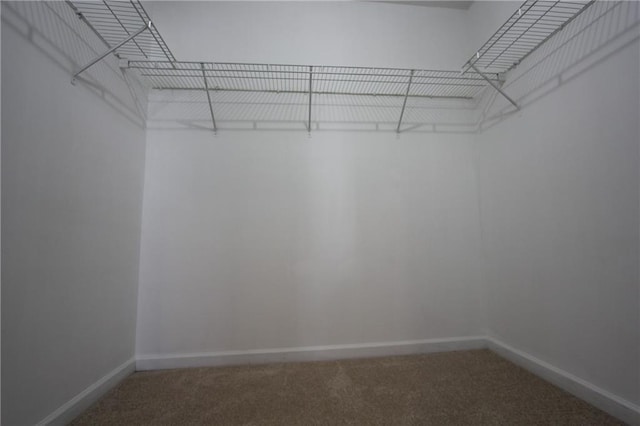 walk in closet with carpet