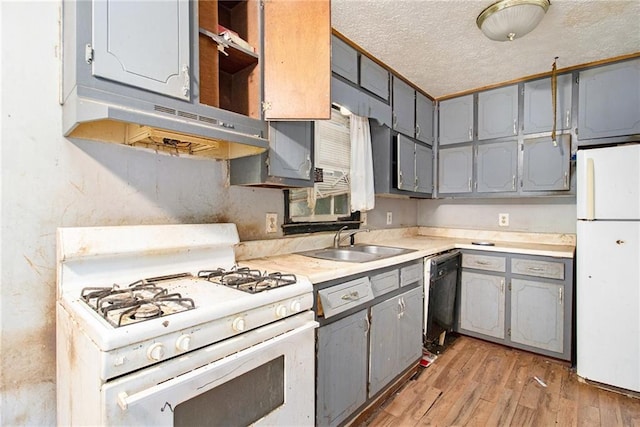 kitchen with gray cabinets, white appliances, a sink, a textured ceiling, and light wood finished floors