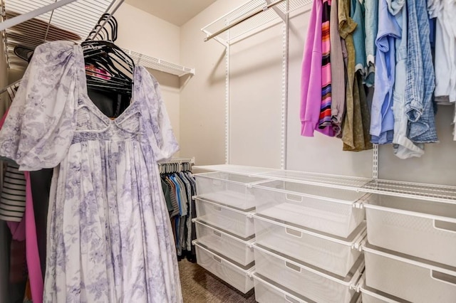 walk in closet featuring carpet flooring