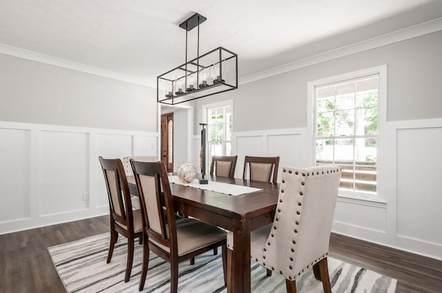 dining room with ornamental molding, wood finished floors, and a decorative wall