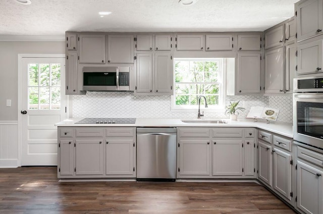 kitchen with stainless steel appliances, gray cabinets, and a sink