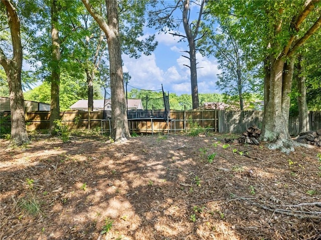 443 Rhett Dr, Loganville, GA 30052 - view of fenced backyard