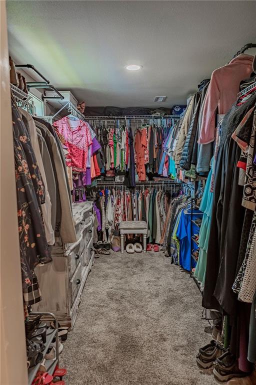 walk in closet with carpet floors