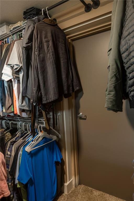 spacious closet featuring carpet floors