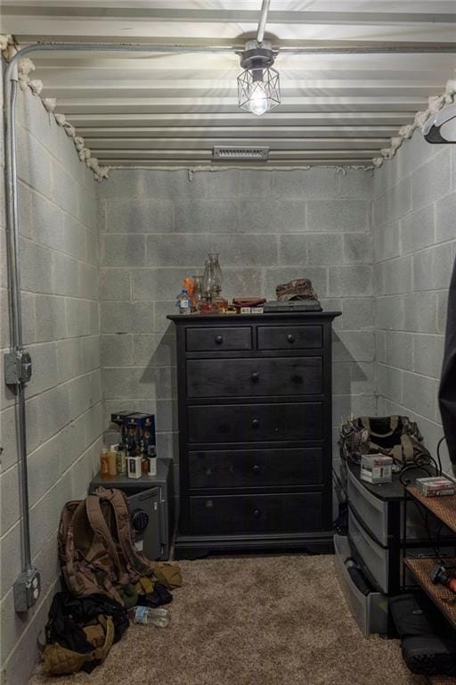 basement featuring carpet floors