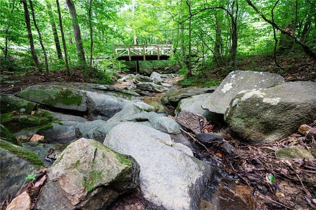 view of nature with a wooded view