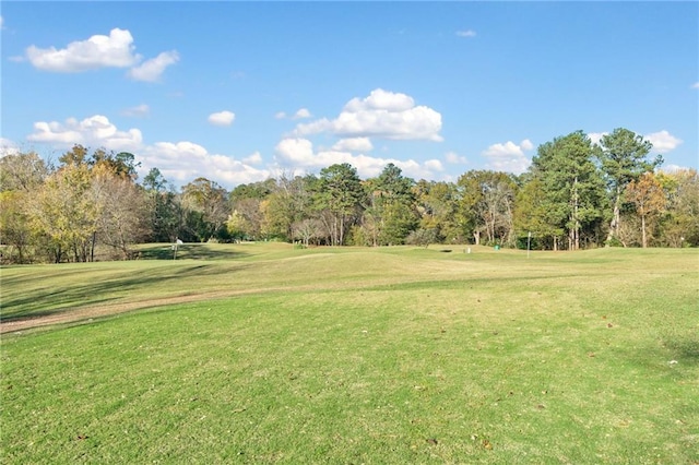 view of property's community with a yard