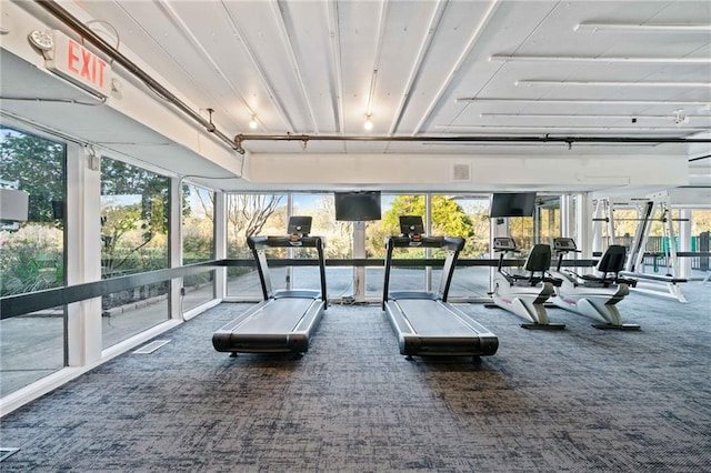 workout area with carpet flooring