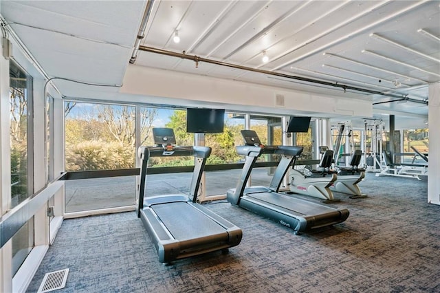 exercise room featuring carpet floors and visible vents