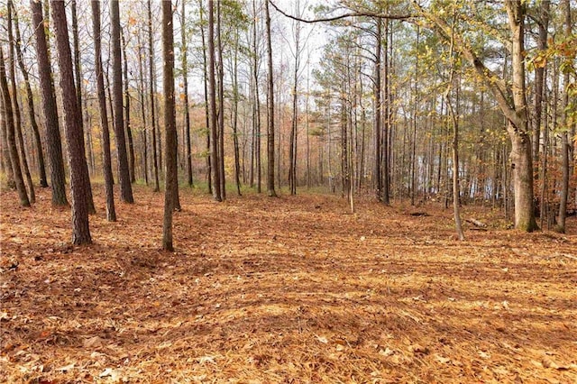 view of local wilderness featuring a view of trees