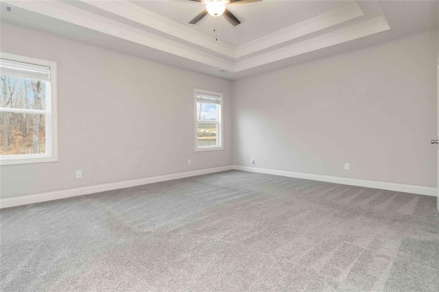 unfurnished room featuring a raised ceiling, crown molding, and carpet flooring