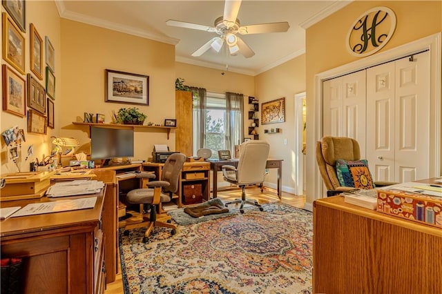 office featuring light wood-type flooring, ceiling fan, and ornamental molding