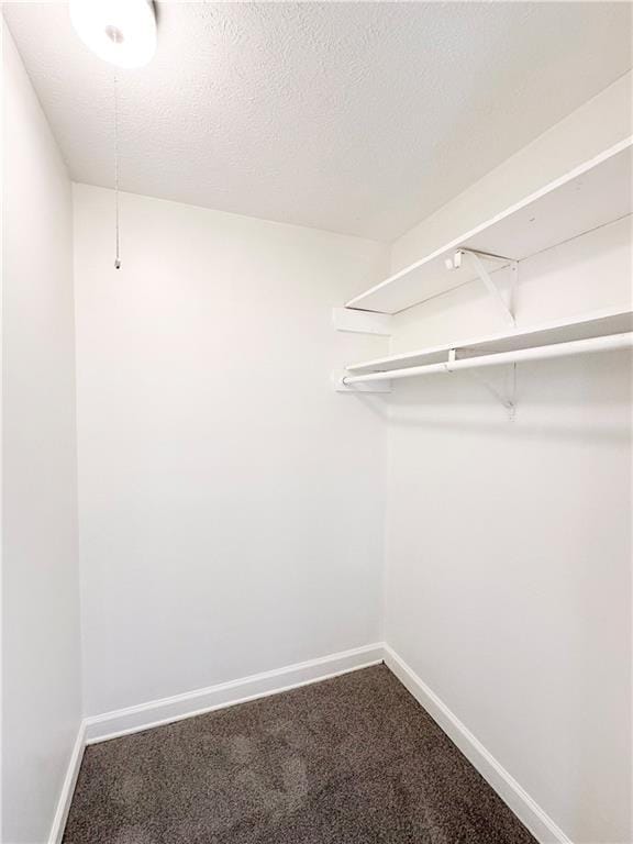 walk in closet with carpet