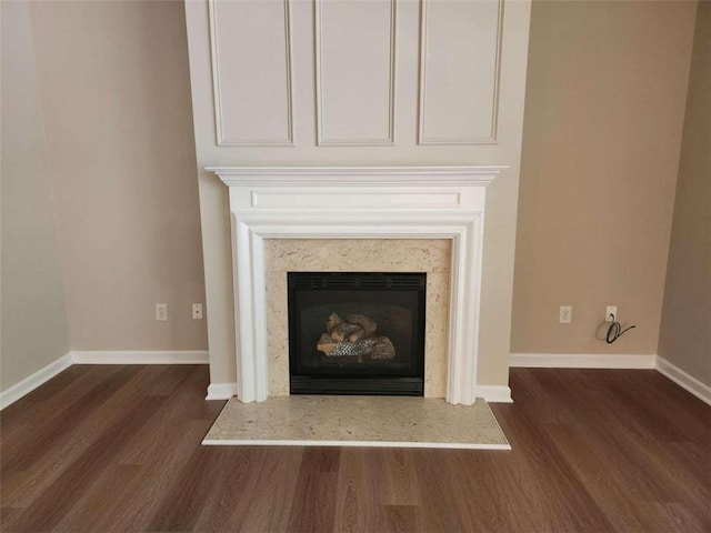 details with a high end fireplace and hardwood / wood-style flooring