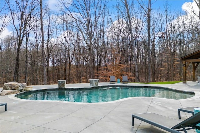 pool with a patio area