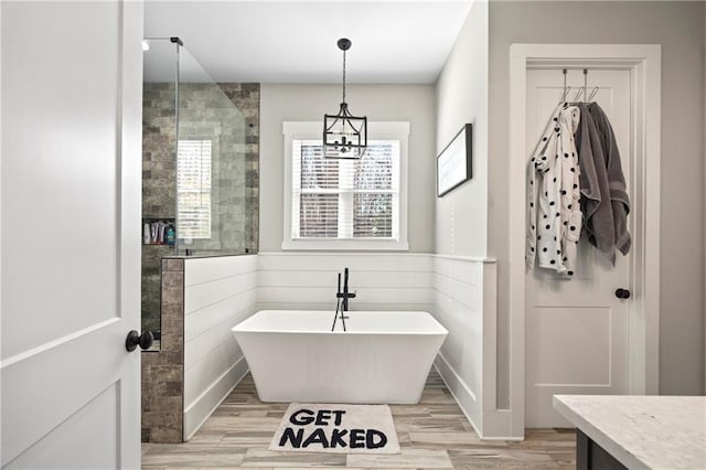 bathroom with a freestanding bath, a shower stall, vanity, and wood finished floors