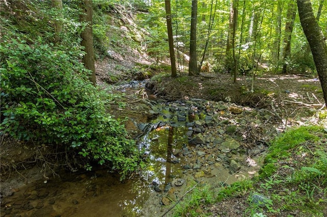 290 Edwardton Ct, Roswell, GA 30076 - view of local wilderness