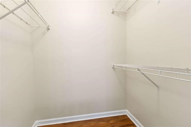 spacious closet featuring dark wood finished floors