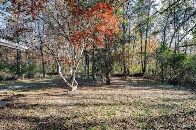 view of yard featuring a view of trees