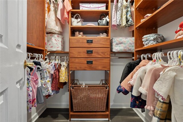 view of walk in closet