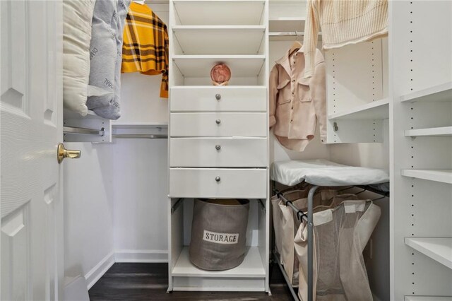 spacious closet featuring dark hardwood / wood-style flooring