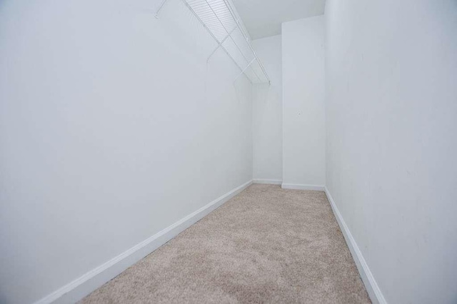 walk in closet with light colored carpet