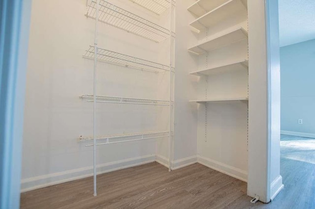 spacious closet with hardwood / wood-style floors