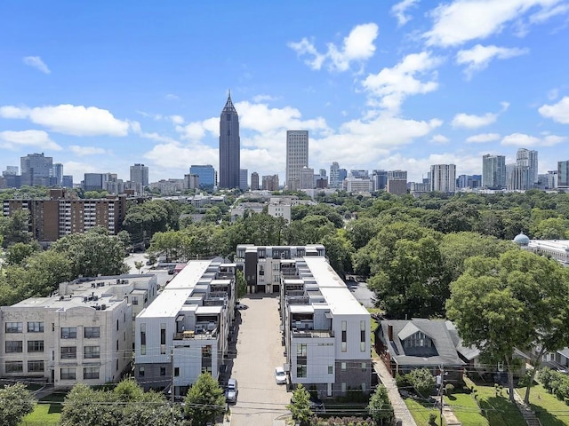 133 City View Ct NE, Atlanta, GA 30308 - skyline view