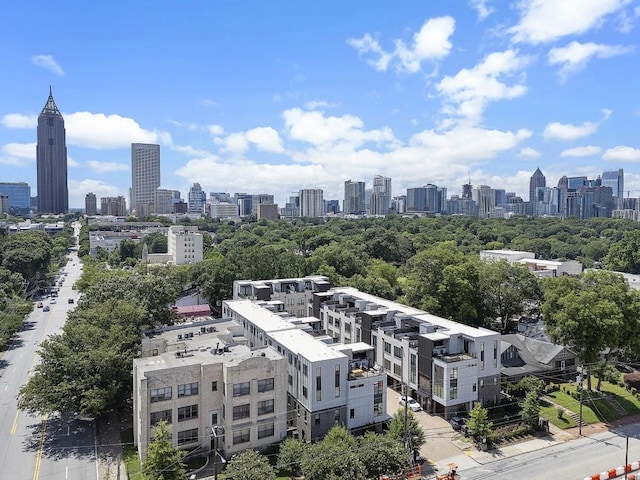 133 City View Ct NE, Atlanta, GA 30308 - view of city skyline