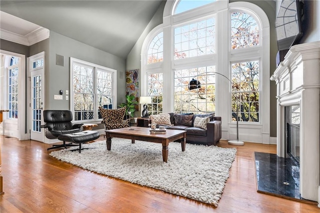 living room featuring plenty of natural light, a towering ceiling, and a high end fireplace