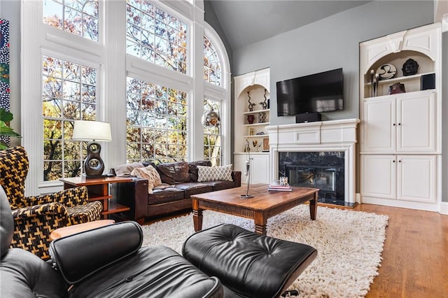 living room featuring a premium fireplace, built in features, plenty of natural light, and light wood-type flooring