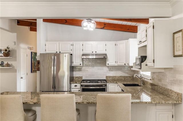 kitchen with backsplash, under cabinet range hood, light stone counters, stainless steel appliances, and a sink