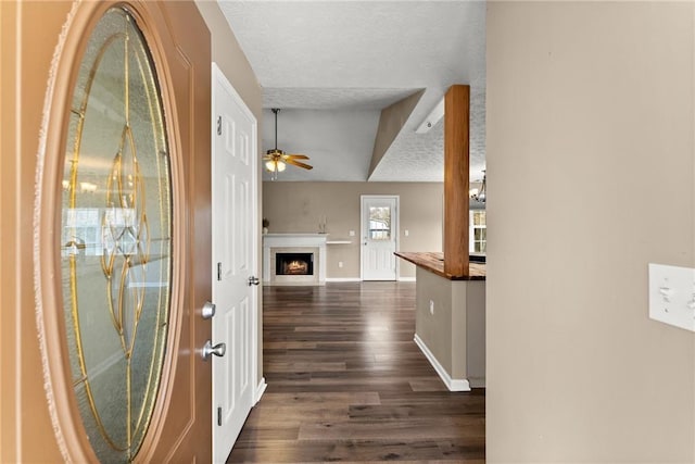 foyer with dark wood-type flooring and a textured ceiling