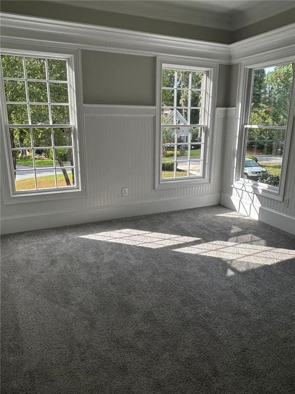 carpeted empty room featuring a healthy amount of sunlight