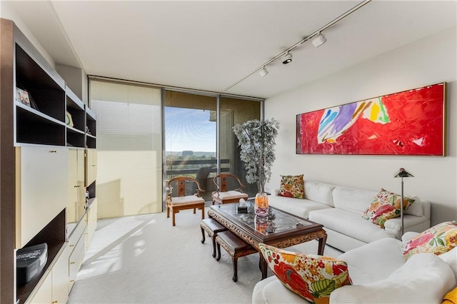 2660 Peachtree Rd NW Unit 18G, Atlanta, GA 30305 - carpeted living area featuring expansive windows and rail lighting