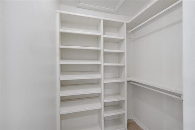 view of spacious closet