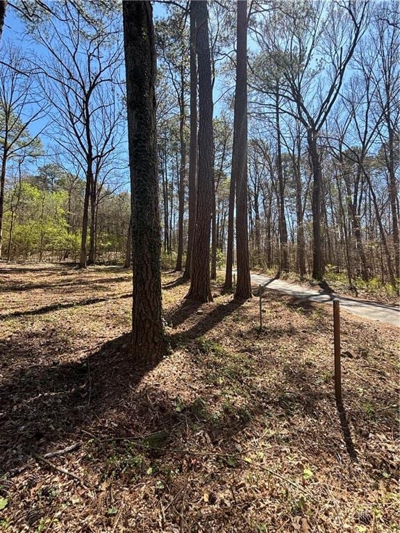 2103 River Rd, Ellenwood, GA 30294 - view of yard