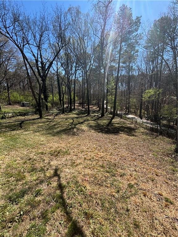 2103 River Rd, Ellenwood, GA 30294 - view of yard