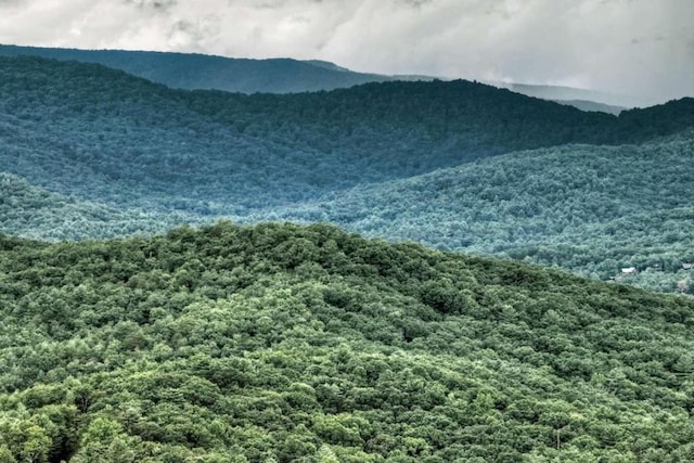 view of mountain feature