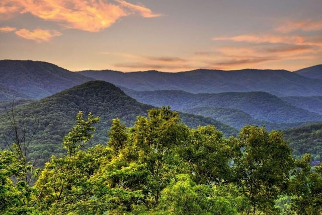 view of mountain feature