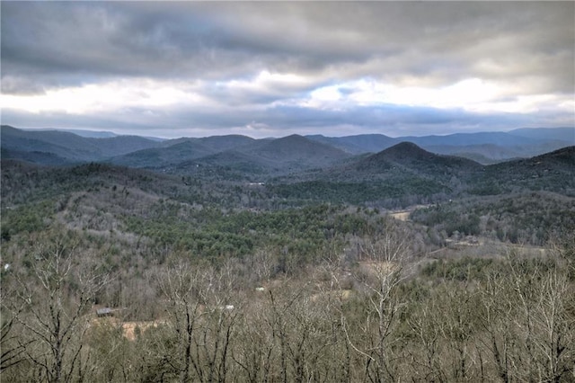 property view of mountains