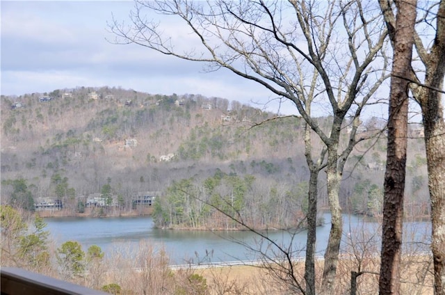 water view with a view of trees