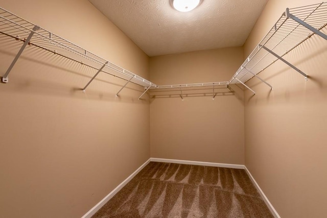 spacious closet with carpet floors