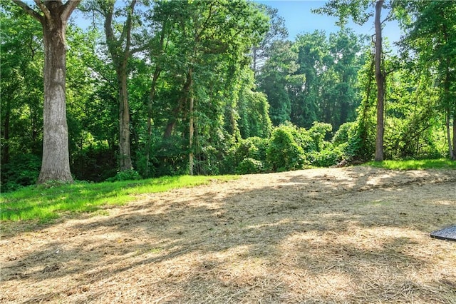124 Sims Dr, Hiram, GA 30141 - view of wooded area