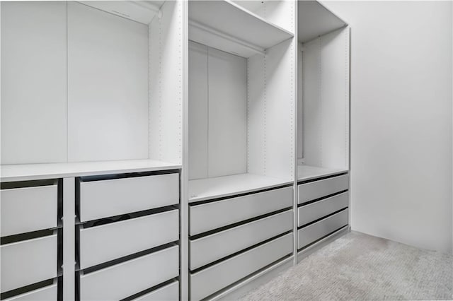2300 Peachford Rd Unit 1410, Atlanta, GA 30338 - spacious closet with light carpet